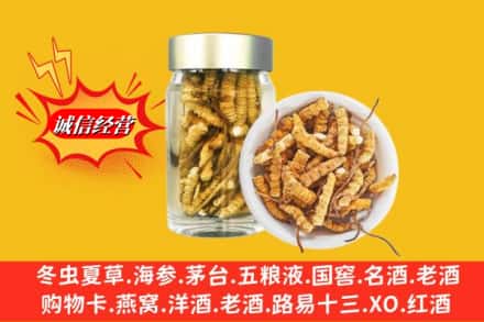 荣成市回收散虫草